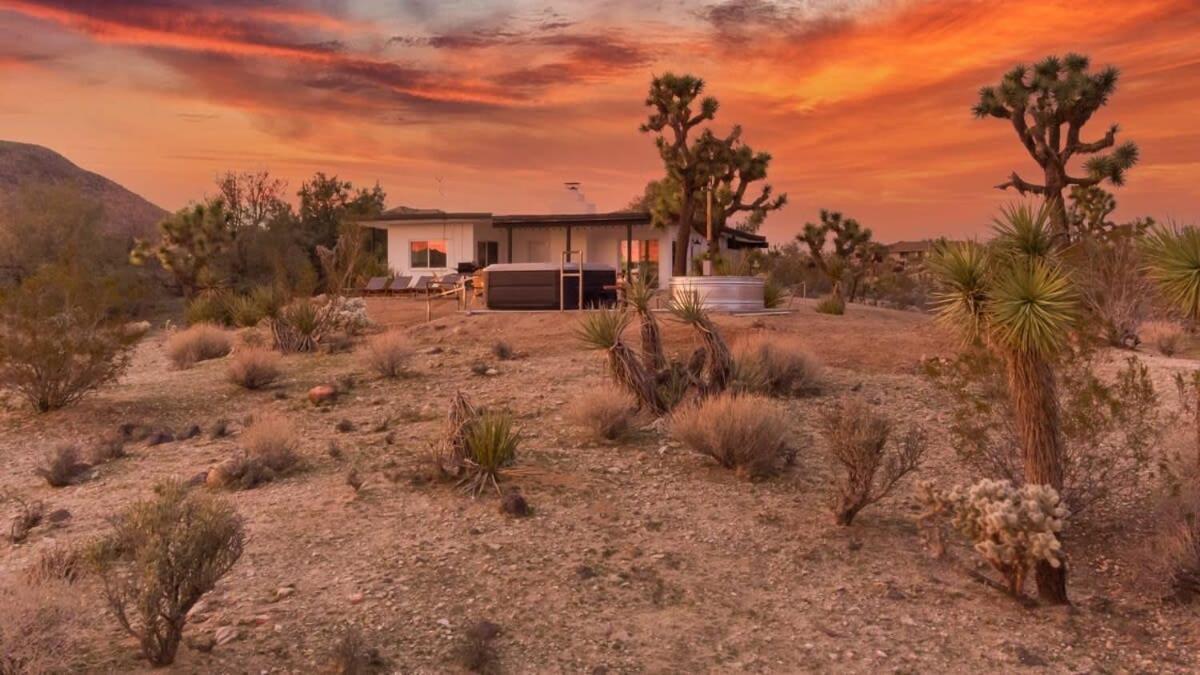 Kinetic House-Joshua Trees Sculptures Cowboy Pool Vila Yucca Valley Exterior foto
